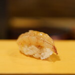 こい勢 - ガサエビ