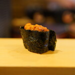 こい勢 - バフンウニ