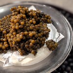 ル・シーニュ - 