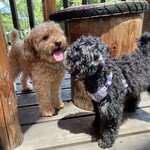 Aromatherapy & Cafe Bube - 露台座位约会