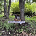 Aromatherapy & Cafe Bube - 蜜蜂的家