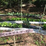 Aromatherapy & Cafe Bube - 布贝的蔬菜专区