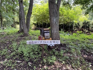 Aromatherapy & Cafe Bube - Honey's House