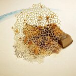 リストランテKubotsu - 五島産サバの炙りとイタリア産フレッシュポルチーニ茸（2020.9）