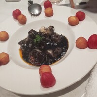 CINA New Modern Chinese - 