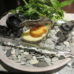 日本料理 TOBIUME - 美しすぎる夏の一皿は、ゲスト食材の天龍鮎の一品