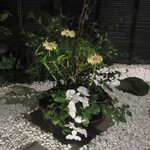 Nihon Ryouri Tobiume - 店内からの坪庭