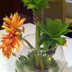 レッジョ・ネレミリア - 