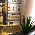 S.colina - 