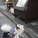 KOiBUMi - お店の入口の前で　お店はこのB1Fです。