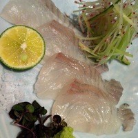 日本料理 晴山 - 真子鰈の刺身 