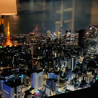 Bar&Lounge MAJESTIC -  Bar&Lounge MAJESTIC -