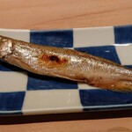 匠 進吾 - 本シシャモ