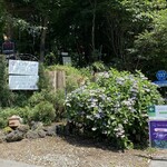 Aromatherapy & Cafe Bube