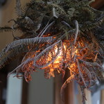 カフェ ランシュパーズ - 2020年10月再訪：カウンター席の照明☆