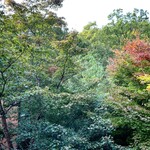 山みず木 - 窓の外　これが真っ赤に染まったら凄いよきっと。