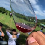 ドメーヌ・タカヒコ - 