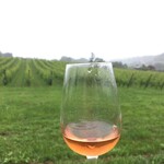 ドメーヌ・タカヒコ - 