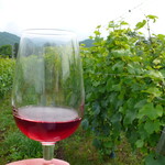 ドメーヌ・タカヒコ - 