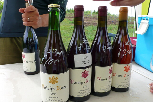 ドメーヌタカヒコ Yoichi-Nobori Rose de Noir2020 【ワイン 日本