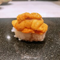 山桜 - 