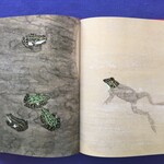 いりむら - 「虫魚画巻」より