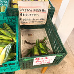 八紘学園 農産物直売所 - 【2020年09月】9月訪問時は、とうきびの売場が賑わってます。