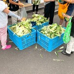 八紘学園 農産物直売所 - 【2020年09月】とうきび購入後、皆さん皮をむいてます。