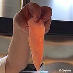 아지토 와카나 - 호랑이 복어의 흰 알