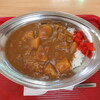 Kareshoppuindean - 野菜カレー 462円(2020年10月）