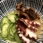 Harukoma - 