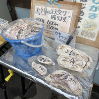 仙鳳趾産牡蠣の直売店 By Ginma6 伊畑漁業部 尾幌 その他 食べログ 仙鳳趾産牡蠣の直売店 By Ginma6 伊畑漁業部 尾幌 その他 食べログ