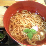 ごろごろ亭 - デカ盛りうどん、３８２円