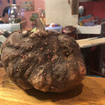 カレー独歩ちゃん - こんにゃく芋。スパイスこんにゃくを考えているようです。楽しみ