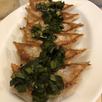 餃子専門 芳寿飯店 - 