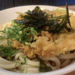 Kawahara - 小エビ入りぶっかけうどん(冷)大盛り