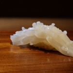 倉満 - ヤリイカ