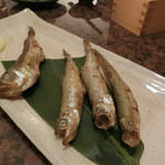 「はたはた」、「ししゃも」