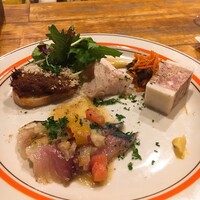 ブラチェリア バーヴァ - 