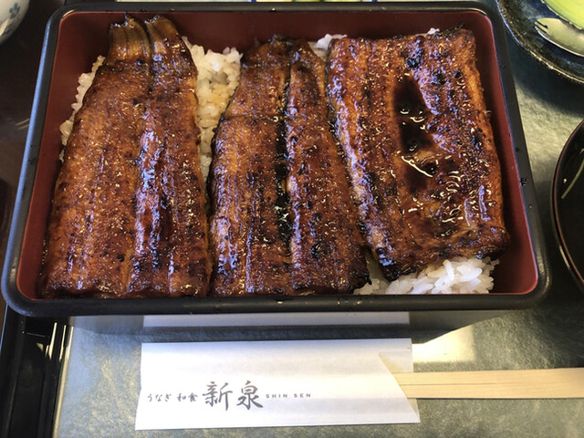 うなぎ 和食処 新泉 しんせん 掛川 うなぎ 食べログ うなぎ 和食処 新泉 しんせん 掛川 うなぎ 食べログ