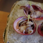 魚菜料理 縄屋 - 宮津（みやつ）の鳥貝（とりがひ）