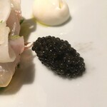 Restaurant Sola - オシェトラキャビア