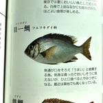 活海酒 - たまめ(メイチダイ;目一鯛)