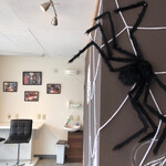 Deli's ケーキ＆コーヒー - 一方そのとき、忍び寄る巨大グモの影が…。