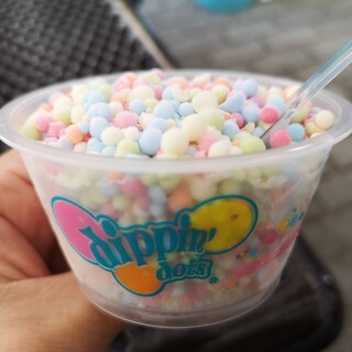 ドルフィン・テイル_2