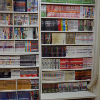 ラジャコート_2