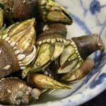 樽八 - かめのて