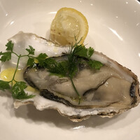 トラットリア イル レガーロ - 