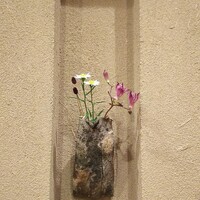 よし澤 - 