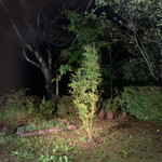 四季のあじわい 松籟亭 - 